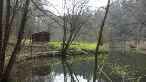 Tolle Schutzhütte in der Eielstädter Schlucht am Bergweiher. Mit Lagerfeuerplatz und Sitzgelegenheiten. Top 